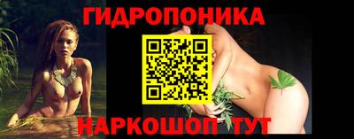 каннабис Новозыбков
