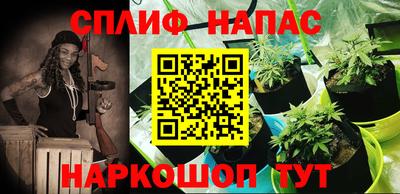 каннабис Новозыбков