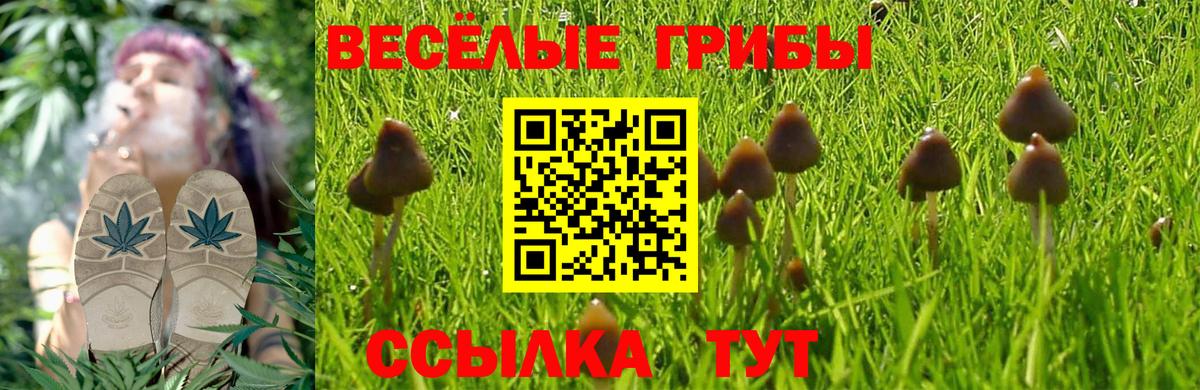Урус-Мартан  Галлюциногенные грибы мухоморы  Вход с VPN 