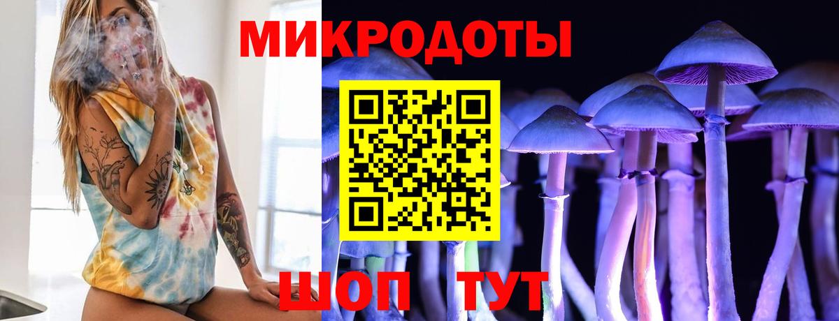 Галлюциногенные грибы Cubensis Урус-Мартан